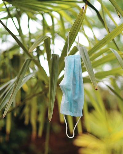 蓝色的纺织品挂在绿色的植物上